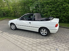 Bild des Angebotes Ford Escort Escort CLX