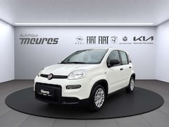 Bild des Angebotes Fiat Panda PANDINA Hybrid 70 PS, Allwetter, Gelato Weiß, Klim