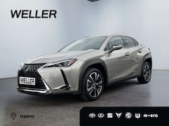 Bild des Angebotes Lexus UX 250h Style Edition *Bi-LED*ACC*CAM*SHZ*CarPlay*