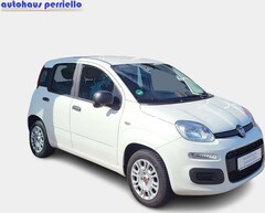 Bild des Angebotes Fiat Panda Easy 1.2 8V