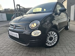 Bild des Angebotes Fiat 500 Basis