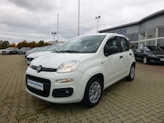 Bild des Angebotes Fiat Panda 1,2  8V Easy Sitzheiz/Einparkhilfe