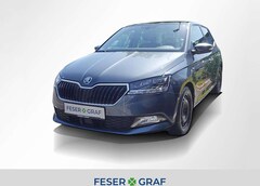 Bild des Angebotes Skoda Fabia Clever 1,0l TSI DSG *