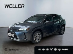 Bild des Angebotes Lexus UX 300e *sofort*CarPlay*Tempomat*Klimaaut*LMF*