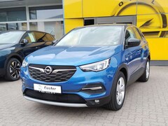 Bild des Angebotes Opel Grandland X Innovation  Navi / PDC u. Kamera / heizb. Scheibe