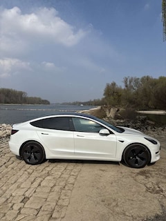 Bild des Angebotes Tesla Model 3 Model 3 Modell 2023  AutoPil Kamera Pano Leder LED
