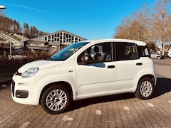Bild des Angebotes Fiat Panda Easy