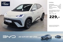 Bild des Angebotes BYD Dolphin Elektro Comfort