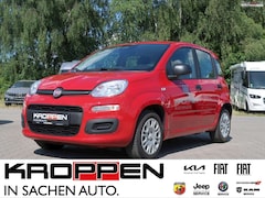 Bild des Angebotes Fiat Panda MY25 Pandina ICON Hybrid 1.0 GSE 51kw 70PS