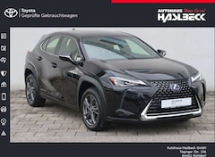 Bild des Angebotes Lexus UX 300e