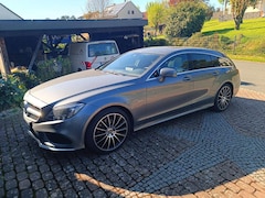 Bild des Angebotes Mercedes-Benz CLS 250 CLS 250 BlueTec / d 4Matic (218.997)