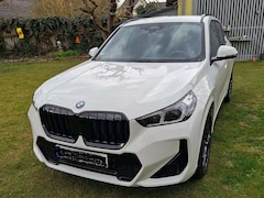 Bild des Angebotes BMW X1 X1 xDrive30e Aut. M Sportpaket