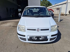 Bild des Angebotes Fiat Panda Panda 1.2 Dynamic