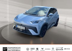 Bild des Angebotes BYD Dolphin Dolphin Surf - Comfort