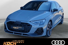 Audi S3 2.0 TFSI q. S-Tronic, Panoramadach,