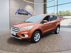 Bild des Angebotes Ford Kuga Titanium 1,5 176PS 4x4 Aut. 8*Alu/Navi/Winterp.