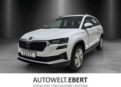 Bild des Angebotes Skoda Karoq Selection 1,5 TSI 110 kW DSG