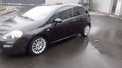 Bild des Angebotes Fiat Punto Evo Punto EVO Diesel  3-Türer 1.3 16V Multijet Pop Start