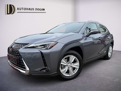 Lexus UX 250h Hybrid*Kamera*AHK*Navi*Klimaaut*