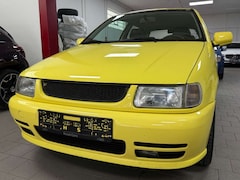 Bild des Angebotes VW Polo 1.4 COLOR CONCEPT 100PS*LEDER*SHZ*TÜV*SERVO
