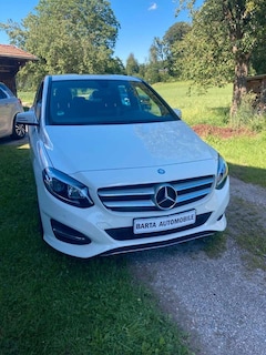 Bild des Angebotes Mercedes-Benz B 220 4Matic / NAVI / KAMERA / LEDER /LED