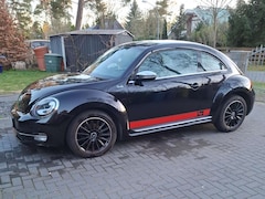 Bild des Angebotes VW Beetle The Beetle 1.2 TSI DSG Fender Edition