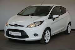 Bild des Angebotes Ford Fiesta Viva 1.25 Winter-Paket Klima