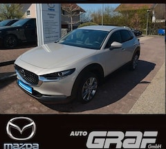 Bild des Angebotes Mazda CX-30 Exclusive-Line NAVI LED 360° ACC PDC HUD