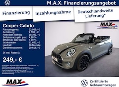 Bild des Angebotes MINI Cooper Cabrio S CHILI+LED+KLIMA+SITZHEIZUNG+PDC+