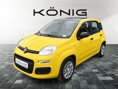 Bild des Angebotes Fiat Panda MY25 1.0 Klima PDC Citypaket
