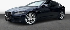 Bild des Angebotes Jaguar XE P250 Aut. SE