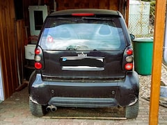 Bild des Angebotes smart city-coupé/city-cabrio MCC Smart 01