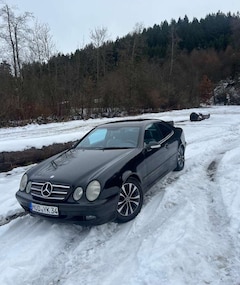 Bild des Angebotes Mercedes-Benz CLK 230 Elegance