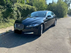 Bild des Angebotes Jaguar XF 8-fach bereift / AHK