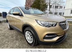 Bild des Angebotes Opel Grandland X Selection Erst 22600km!!!