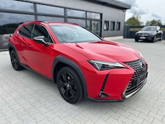 Bild des Angebotes Lexus UX 250h Style & Edition - ACC-Totwinkel-DAB