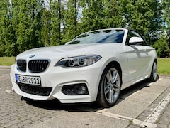 Bild des Angebotes BMW 228 228i Cabrio Aut. M Sport