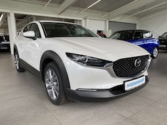 Bild des Angebotes Mazda CX-30 2.5 Exclusive AUTOM. MATRIX BOSE ALLWETTER