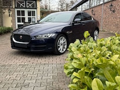 Bild des Angebotes Jaguar XE Portfolio Panoramaglasdach