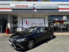 Lexus ES 300 h Executive Line - LED, Pano, Leder