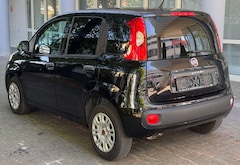 Bild des Angebotes Fiat Panda TÜV AU NEU*KLIMA*Euro 6*