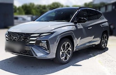 Hyundai TUCSON FL N Line X Assistenz-P Dachlackierung