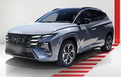 Hyundai TUCSON FL N Line X  Assistenz-P Dachlackierung