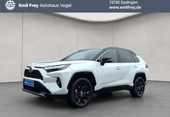 Bild des Angebotes Toyota RAV 4 2.5 4x4 Hybrid Style Selection
