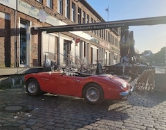 Bild des Angebotes Austin-Healey 100 100/6 BN4
