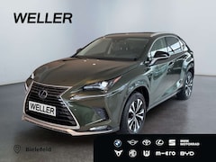 Bild des Angebotes Lexus NX 300h Style Edition *Bi-LED*ACC*Kamera*SHZ*PDC*