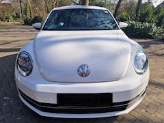 Bild des Angebotes VW Beetle The Beetle 1.2 TSI Design