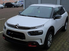 Bild des Angebotes Citroen C4 Cactus BlueHDi 100 Stop&Start Shine