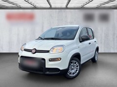 Bild des Angebotes Fiat Panda 1.0 Mild Hybrid/PDC/Nebelscheinwerfer