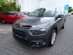 Bild des Angebotes Citroen C4 Cactus PureTech mit AHK. AUTOMATIK